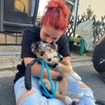 Ersteller:in Saskia Profilbild