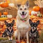 Ersteller:in Vivien Profilbild