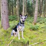 Ersteller:in Marianne Profilbild