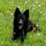 Ersteller:in Katy Jenfer Profilbild