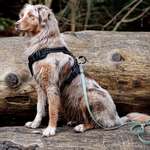 Ständiges Erbrechen-Beitrag-Bild