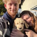 Ersteller:in Elea Profilbild