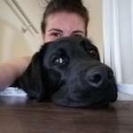 Ersteller:in Laurie Profilbild