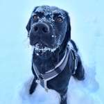 Ersteller:in Franzi Profilbild