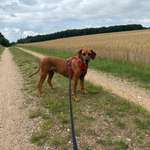 Ersteller:in Tina Profilbild