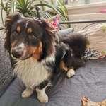 Ersteller:in Angelina Profilbild