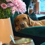 Ersteller:in Nina Profilbild