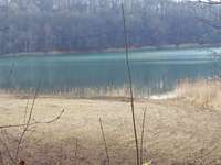 Hundeauslaufgebiet-Reihersee in Gebhardshagen-Bild
