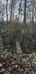 Hundeauslaufgebiet-Lobmachtersen bis Barum-Bild