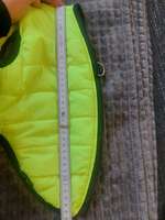 Hunde Jacke neu zu verkaufen-Beitrag-Bild