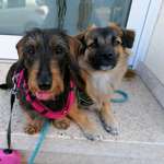 Ersteller:in Nina Profilbild