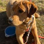 Ersteller:in Madlen Profilbild