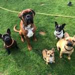 Ersteller:in Celine Profilbild