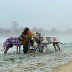 Ersteller:in Mary Profilbild