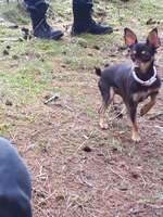 Suchmeldung-Amy-Bild