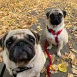 Ersteller:in Lisa Profilbild