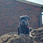 Ersteller:in Anca Profilbild