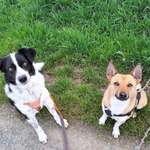 Ersteller:in Julia Profilbild