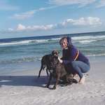 Ersteller:in Anni Profilbild