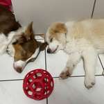 Ersteller:in Niclas Profilbild