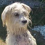 Ersteller:in Claudia Profilbild