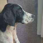 Ersteller:in Carsten Profilbild