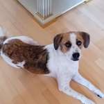 Ersteller:in Daniela Profilbild