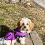 Ersteller:in Kerstin Profilbild