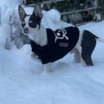 Ersteller:in Lea Profilbild