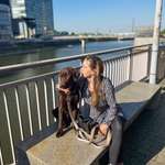 Ersteller:in @chocolatelabmylo Profilbild