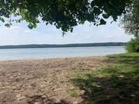 Hundeauslaufgebiet-Hundestrand Neubrandenburg-Bild