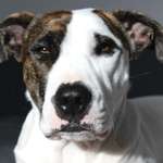 Ersteller:in Ceylan Profilbild