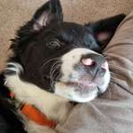 Ersteller:in Tatjana Profilbild