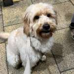 Ersteller:in Marie Profilbild