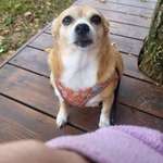 Ersteller:in Gabriele Profilbild