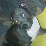 Ersteller:in Freddy Profilbild