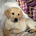 Ersteller:in Martina Profilbild