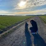 Ersteller:in ҳ̸Ҳ̸ҳ Hermine© ҳ̸Ҳ̸ҳ Profilbild