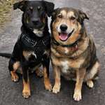 Ersteller:in Silvia Profilbild