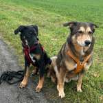 Ersteller:in Silvia Profilbild