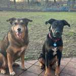 Ersteller:in Silvia Profilbild