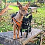 Ersteller:in Hanna Profilbild