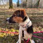 Ersteller:in Lea Profilbild