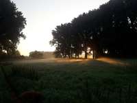 Hundeauslaufgebiet-Rheinaue (Langel/Rheinkassel)-Bild