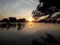 Hundeauslaufgebiet-Rheinaue (Langel/Rheinkassel)-Bild