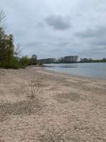 Hundeauslaufgebiet-Muschelstrand-Bild