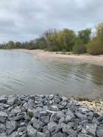Hundeauslaufgebiet-Muschelstrand-Bild