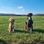 Ersteller:in Isabelle Profilbild