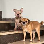 Ersteller:in Erika Profilbild