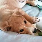 Ersteller:in Rosa Profilbild